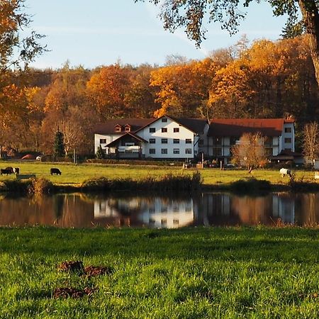 Landgasthof Rotlipp Gaestezimmer Ortenberg  Exterior photo