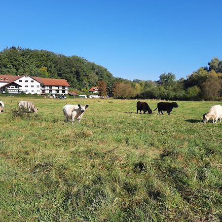 Landgasthof Rotlipp Gaestezimmer Ortenberg  Exterior photo