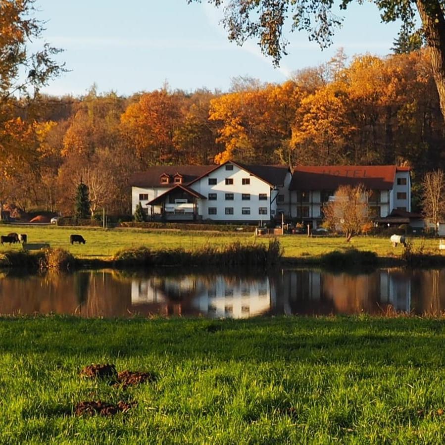 Landgasthof Rotlipp Gaestezimmer Ortenberg  Exterior photo