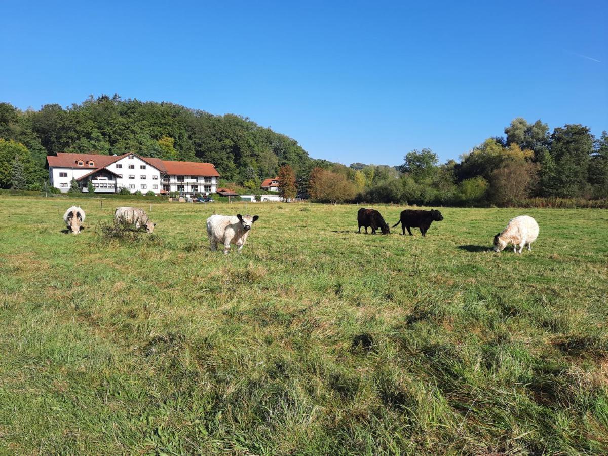 Landgasthof Rotlipp Gaestezimmer Ortenberg  Exterior photo